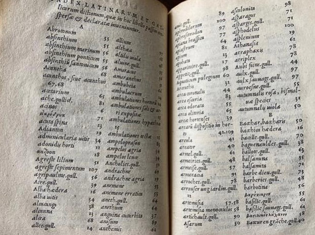 A book written in Latin, opened to a page of plant names