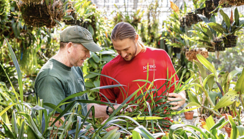 School of Professional Horticulture | New York Botanical Garden