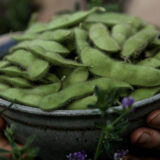 A bowl of green, fuzzy bean pods