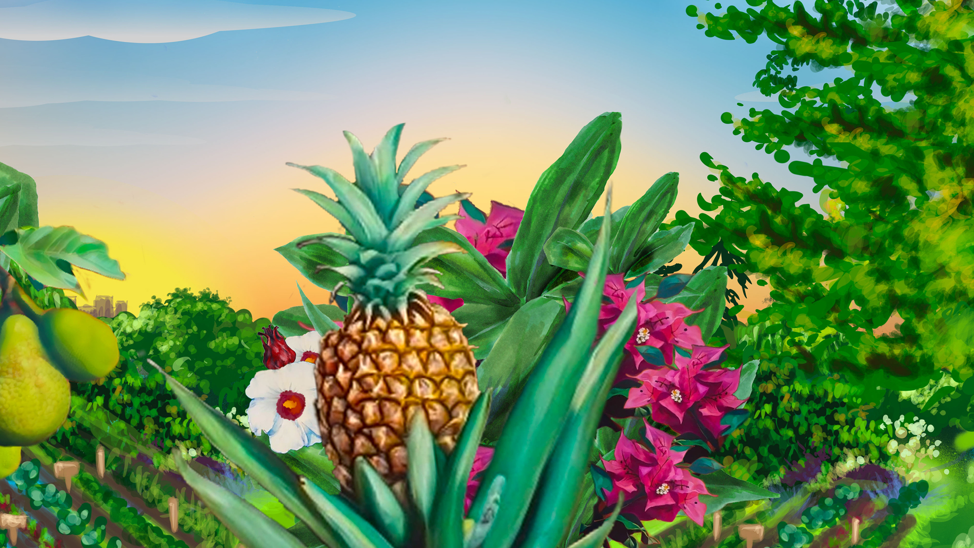 Drawn illustration of green pears, with small city in the background. In the center is a larger pineapple with white with red center hibiscus flowers, and green spiked leaves coming out. Behind the center pineapple are light looking pink bougainvillea flowers. All in front of other green leaves and rows of plantings below. A large green tree is along the other side of the image as a framing device.