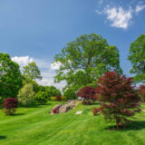 Field of bright green and deep red trees with blue skies and some clouds in the distance