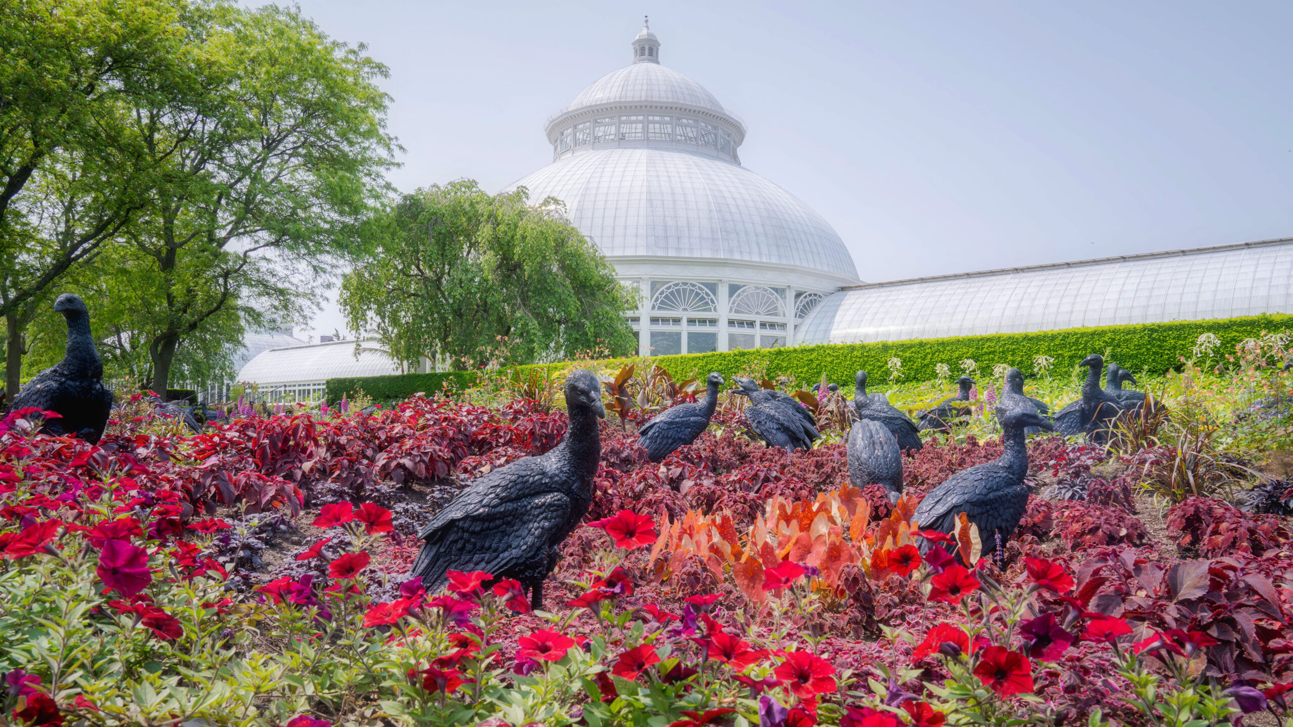 A collection of black vulture sculptures stands in a field of red flowers and foliage, with a white conservatory dome in the background under a blue sky