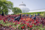 Glittering black bird sculptures stand amid red flowers and foliage on a sunny day, with a white conservatory dome visible in the background