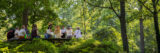 a group of people sitting on the ledge of a lookout surrounded by green foliage