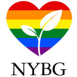 Rainbow PlantLove heart with NYBG logo underneath.