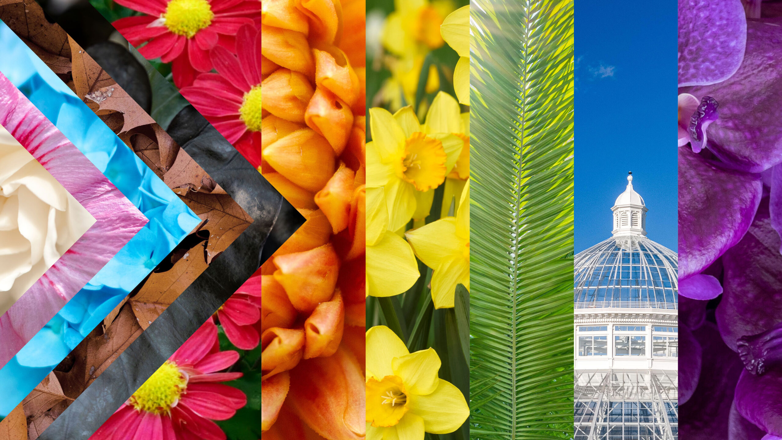 A rainbow-colored mosaic of images of gardens forming the LGBTQ+ flag