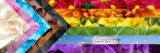 A graphic of the Pride flag made out of images of plants and the Conservatory arranged in the order of the colors of the flag.