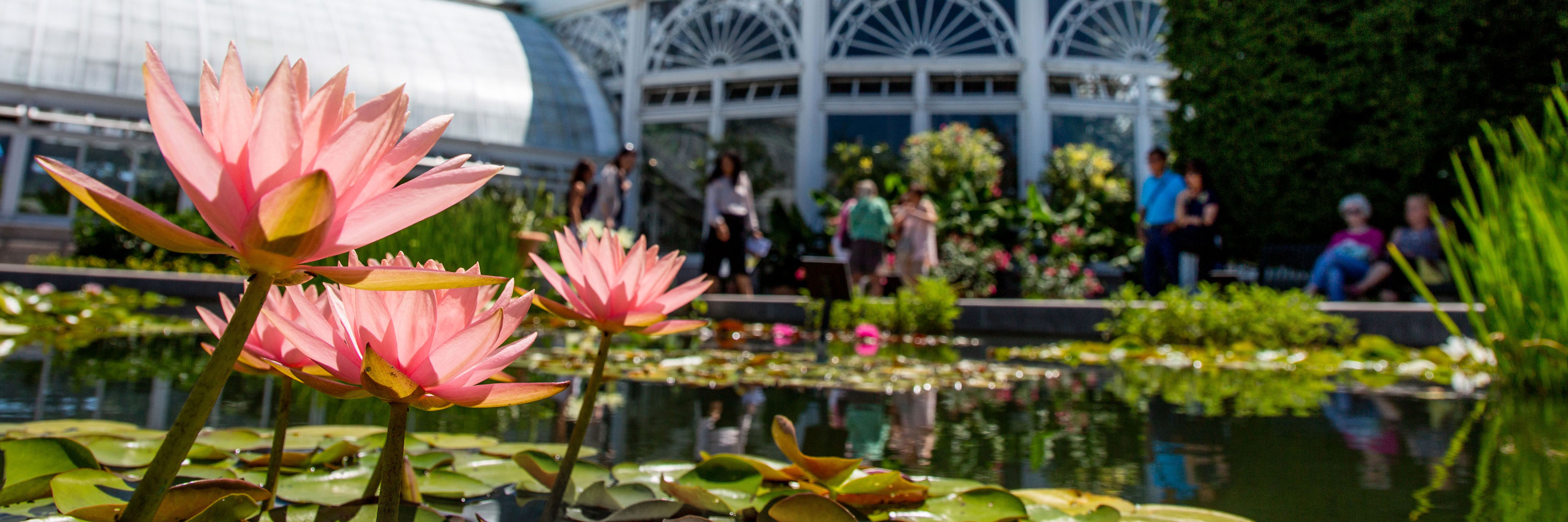 Community Free Wednesdays at New York Botanical Garden