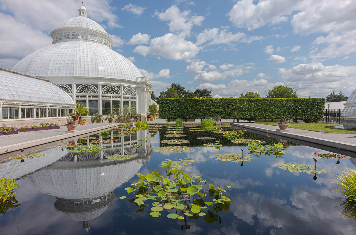 A conservatory courtyard under a sunny blue sky, featuring water lilies blooming on the surface of a large pool of water