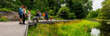 a group of people stand on the boardwalk in the Native Plant Garden looking at the grasses in the pond