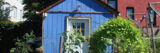 A painted blue garden shed stands in the sunlight