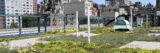 A green rooftop garden thrives in the sunlight amid skyscrapers