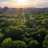 An aerial view of a thick green forest at sunset, with a city skyline visible in the distance