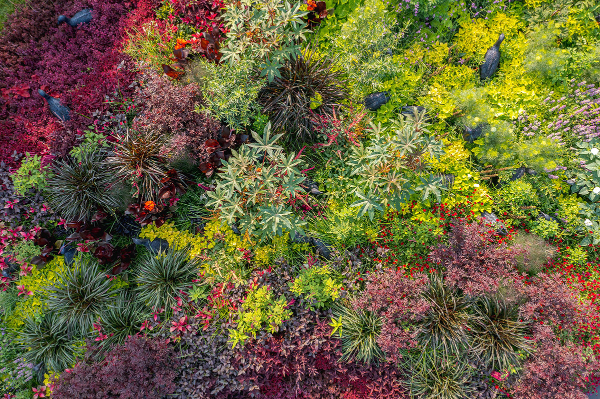 An aerial view of a meadow full of green and red plants and flowers, interspersed with statues of black vultures