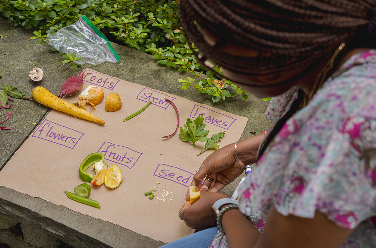 A person in a pink and white shirt organizes fruits and vegetables on a labeled piece of cardboard