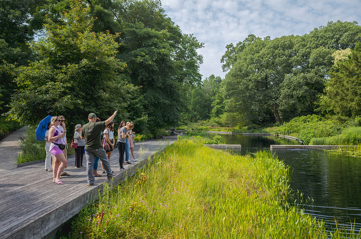 A class group listens to a tour guide during a walk along a sunny boardwalk bordered by green plants and a water feature