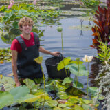 A person with brown hair, wearing a red shirt and rubber waders, poses for a photo as they work in a pool of aquatic plants