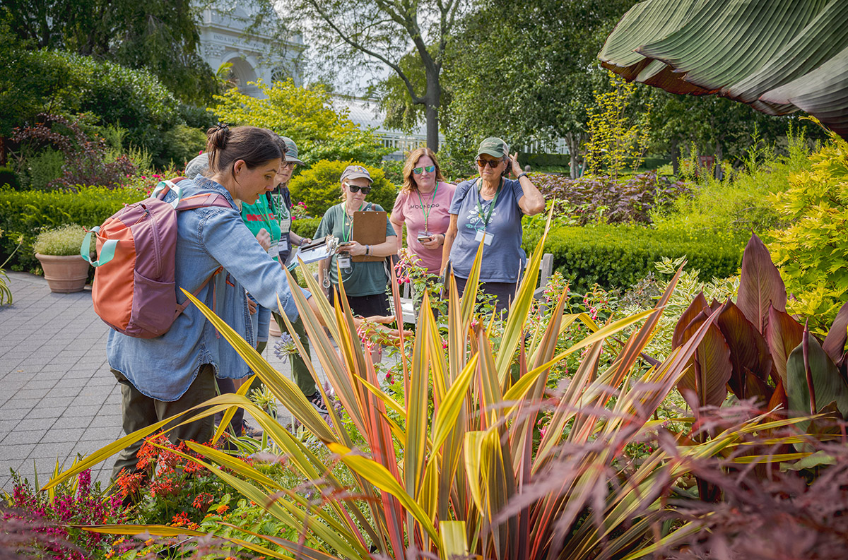 A tour group of adults explores a brightly planted outdoor garden