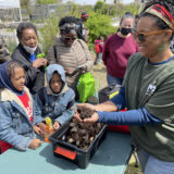 A group of people gather around a table for a compost demonstration on a sunny day