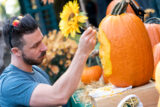 a person in a blue shirt carves a pumpkin