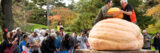 a crowd watch as two people lift a carved out piece of a giant pumpkin on a wooden platform