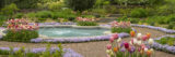 A blue garden fountain surrounded by pink and white tulips