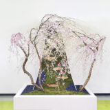 A floral arrangement of delicate brown branches covered in small pink and white flowers