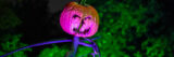 a jack-o-lantern positioned on a body made of tree limbs in green and purple light