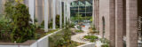 An overhead view of a planted outdoor corridor featuring arching glass over top