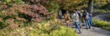 A group of people walk through a garden in fall, led by a tour guide.