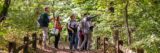 A group of people stands on a path in the middle of a green forest and look at a tree an instructor points to.