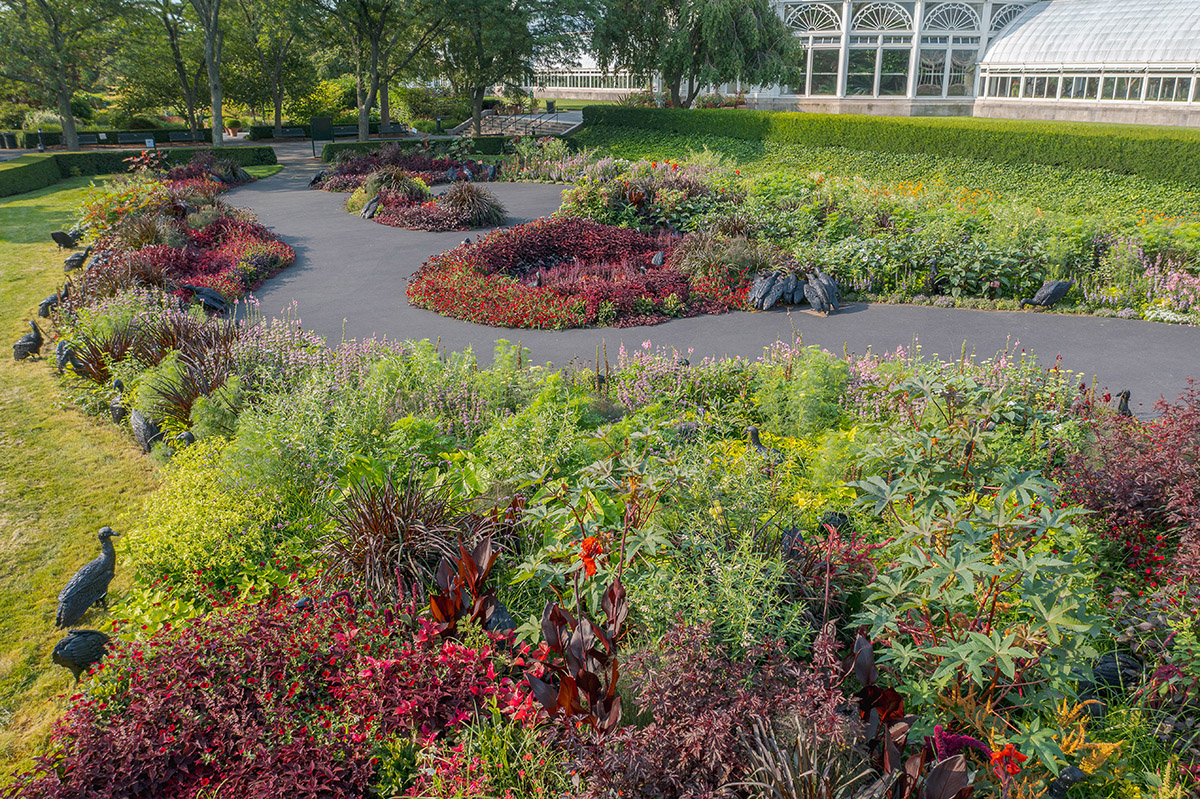 A collection of winding tropical plantings featuring many red-leaved plants