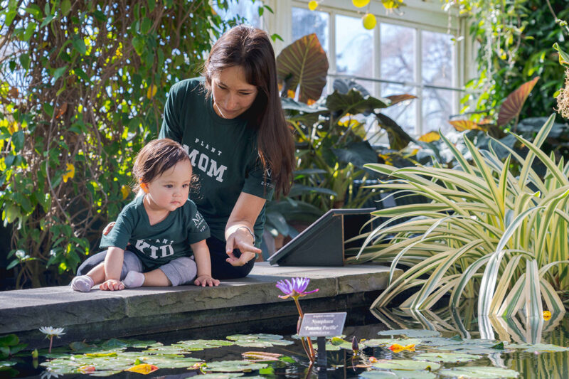A mother in a green shirt with white lettering points at a water lily to show her child.