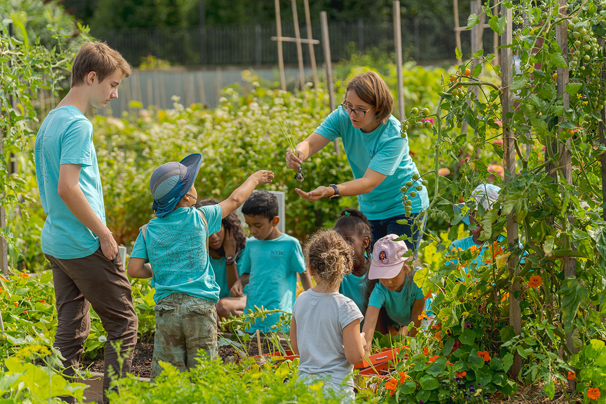 Children in summer clothes take part in a gardening class with two adult staffers, surrounded by green foliage and ripening vegetables