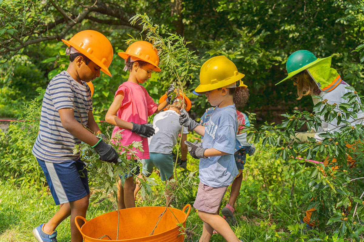 Young children in summer clothes and bright orange and yellow hard hats pull plants from the edge of a forest