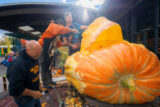 Three people work to sculpt an orange pumpkin into a massive shape