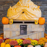 a giant pumpkin carved into a dragon's head surrounded by small pumpkins and red, orange and yellow flowers