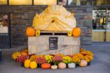 giant pumpkin carved as a dragon's head