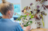 A person in front of two Ikebana floral arrangements