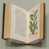 An antique book sits on a book stand, opened to a page with a vibrant green and red botanical illustration