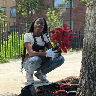 A person in jeans, a white shirt, and a gardening apron crouches by a tree holding a plant with red leaves