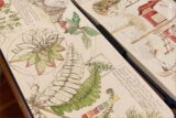 A sketchbook with leafy plants illustrated with pen and watercolor