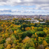 An aerial view of a fall forest in yellow, green, and orange, with a city skyline visible in the distance