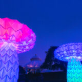 A pair of glowing mushroom sculptures in pink and blue frame a conservatory dome in the background at night
