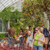 People gather in a conservatory full of red and green foliage, taking notes in notebooks