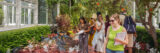 A group of teachers with notebooks in hand walks through the Conservatory, observing the plants.