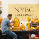 NYBG Fall-O-Ween Adam Bierton Carving 1:1 Crop