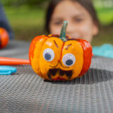 NYBG Fall-O-Ween Decorating Mini Pumpkins 1:1 Crop