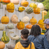 NYBG Fall-O-Ween Pumpkin Wall 1:1 Crop