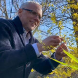 A person in a navy sweater and glasses examines a yellow plant under a blue sky